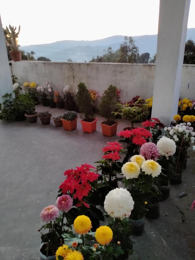 דרג'ילינג Ajit Homestay, Darjeeling מראה חיצוני תמונה
